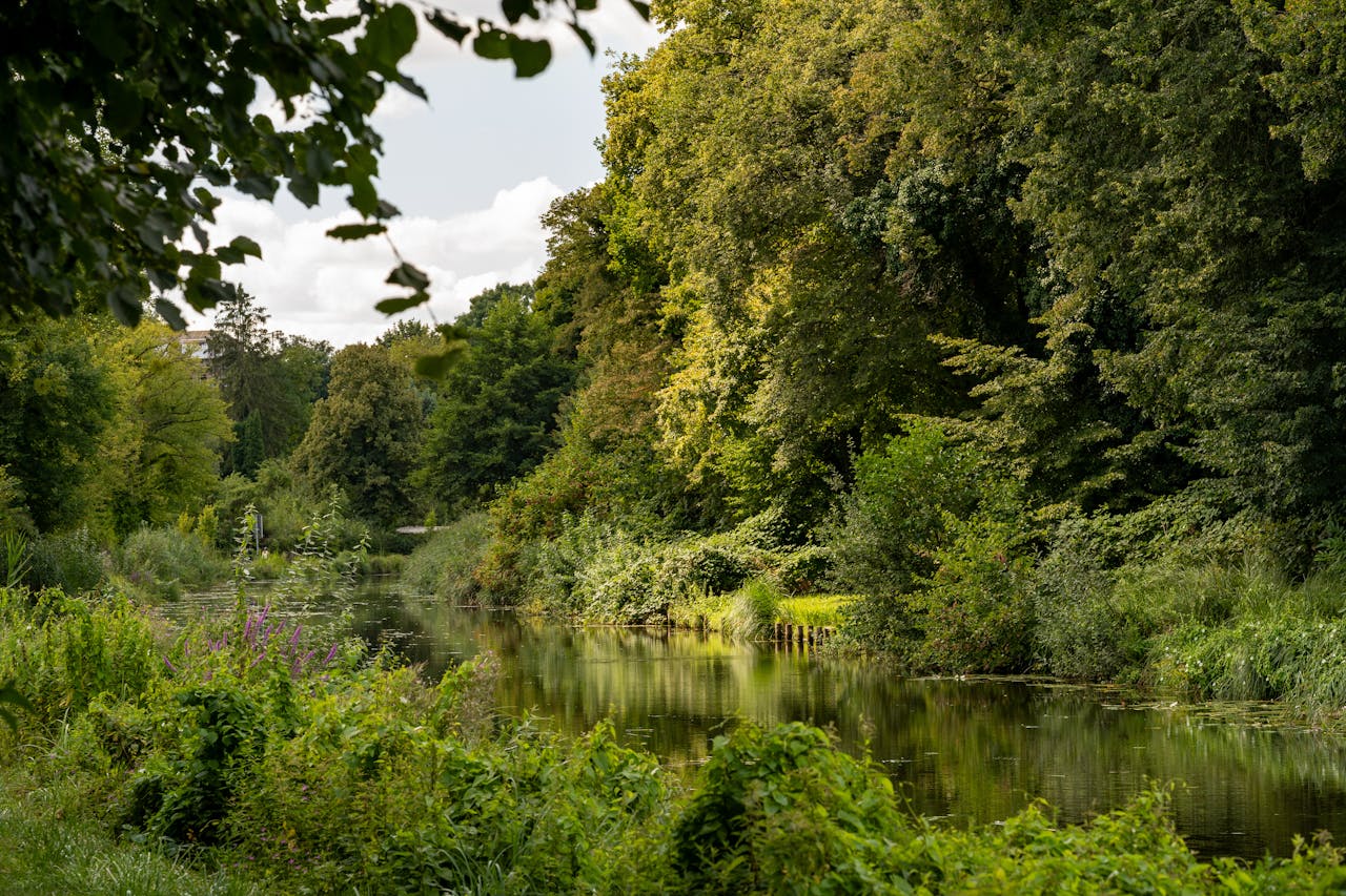Akumulatorowe nożyce do żywopłotu STIHL – precyzja i wygoda bez kabla